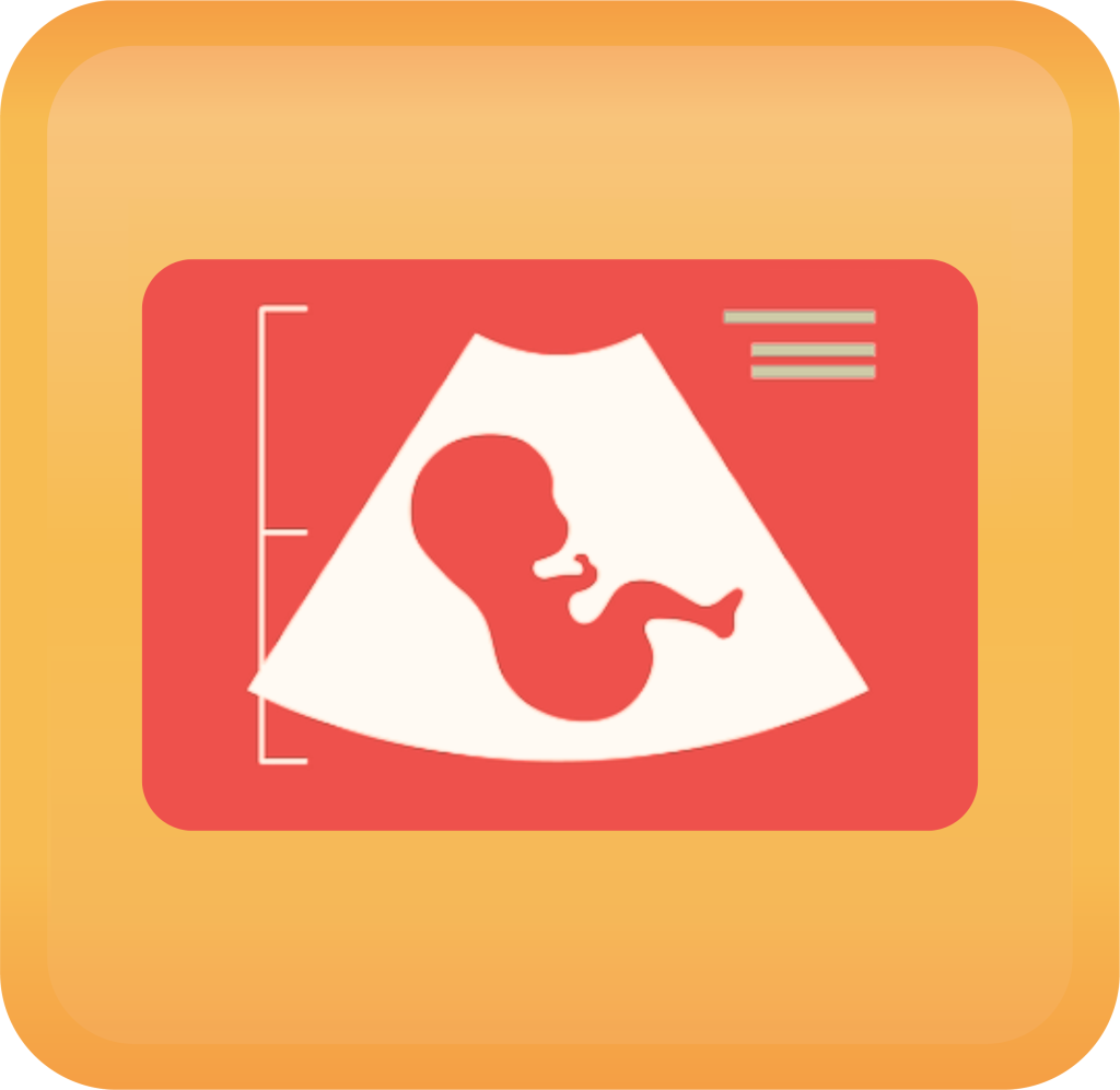 Anatomy Ultrasound Handout Button