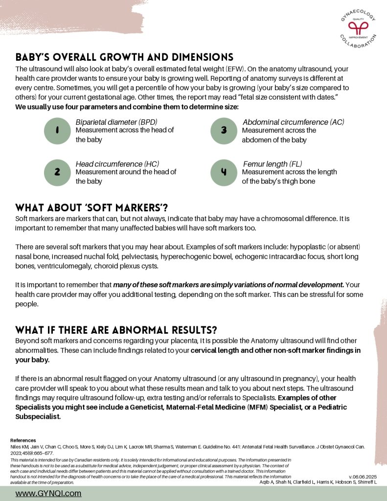 Anatomy Ultrasound Handout Image