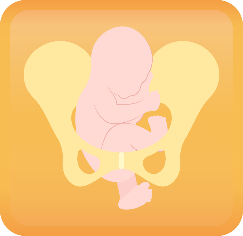 Breech Presentation Handout Button