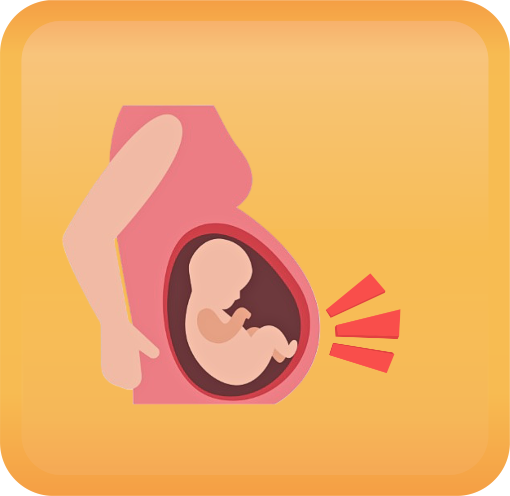 Fetal Movements Handout Button