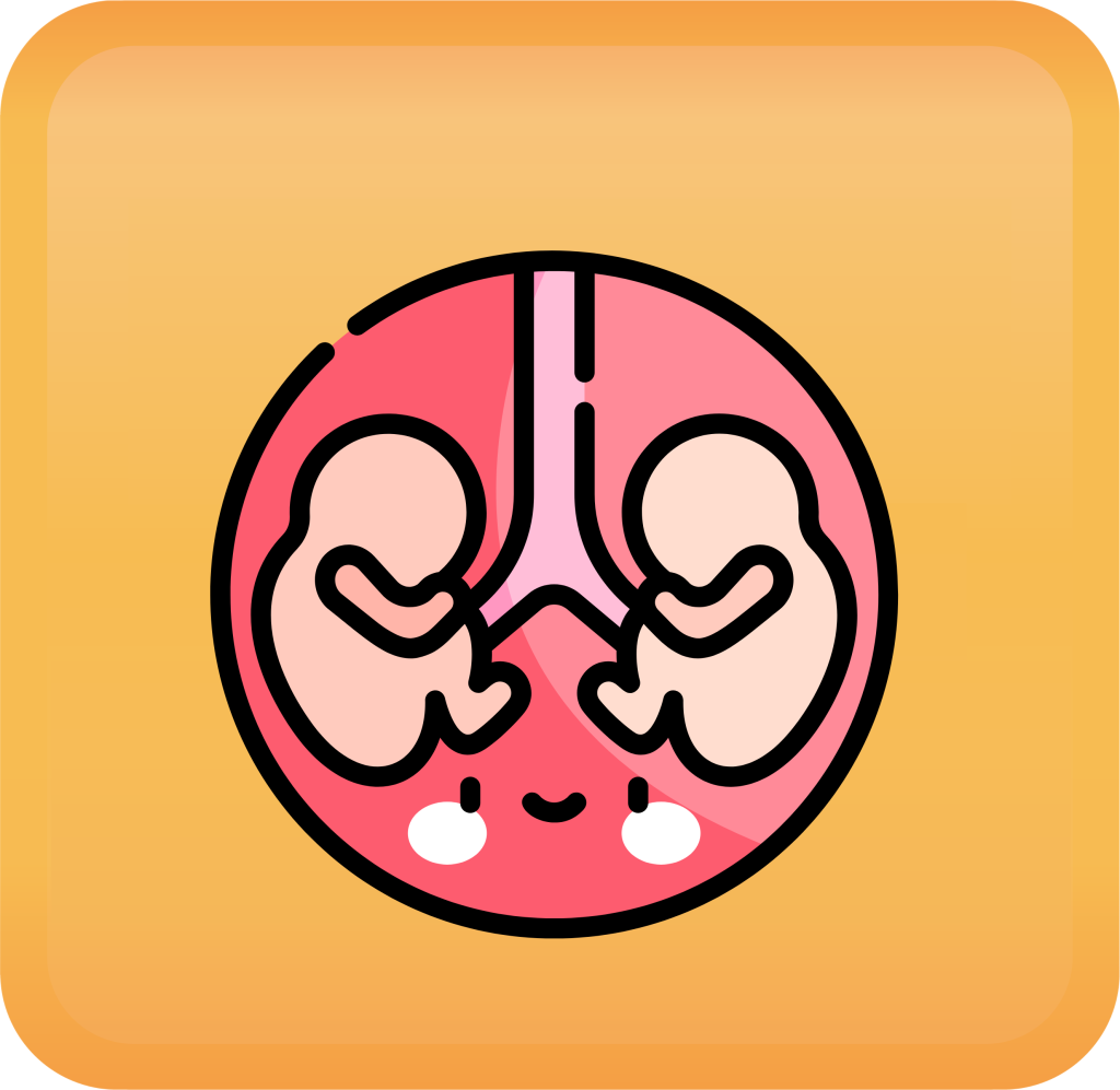 Multiple Gestation Handout button