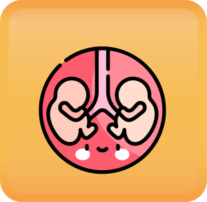 Multiple Gestation Handout button