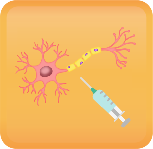 Pudendal Nerve Block Handout Button