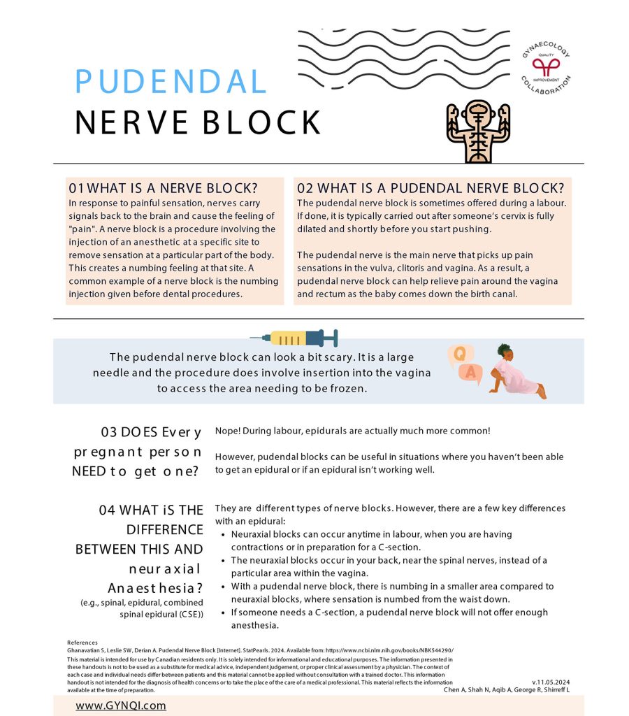 Pudendal Nerve Block Handout image