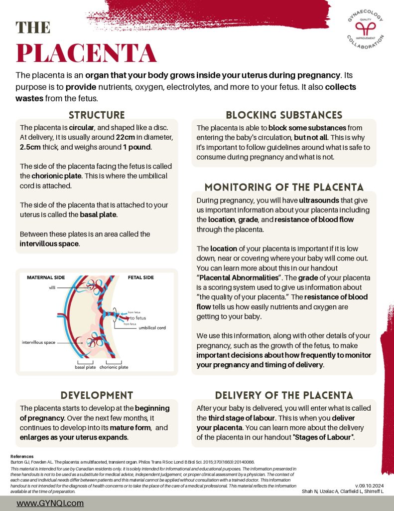 The Placenta handout Image