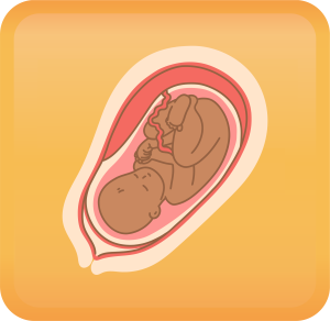 Prenatal Diagnostic Testing Handout Button