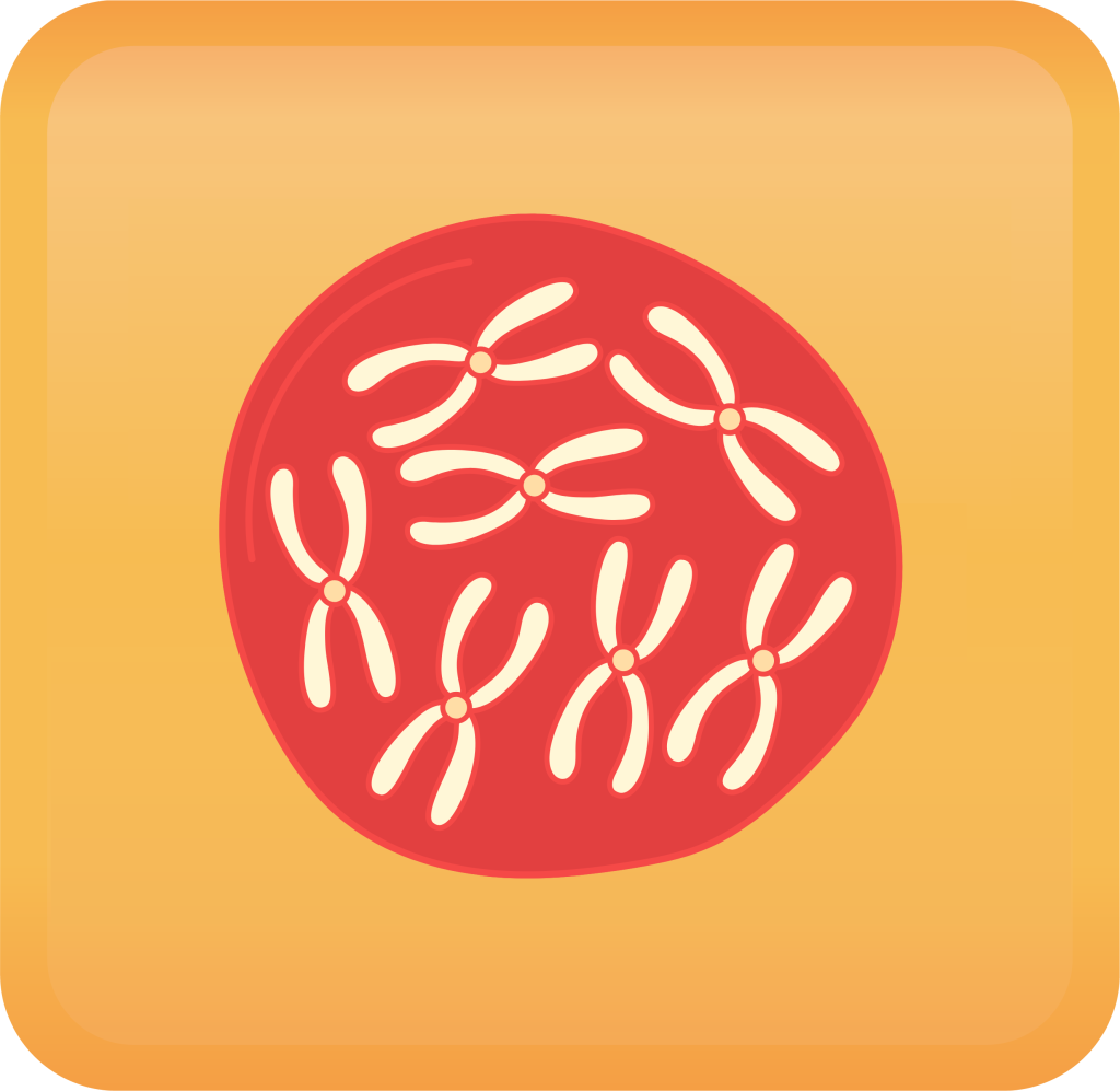 Prenatal Screening Handout Button